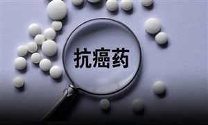 国际货物运输服务贸易的发展现状 2021年国际货运市场行情分析开云APP 开云官网入口(图3)